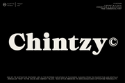 ZT Chintzy - Free Serif Typeface