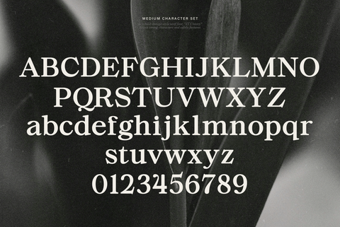 ZT Chintzy - Free Serif Typeface