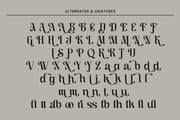 Rheaski - Modern Display Serif Font