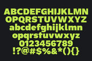 ZT Rayflo - Sans Serif Font Family