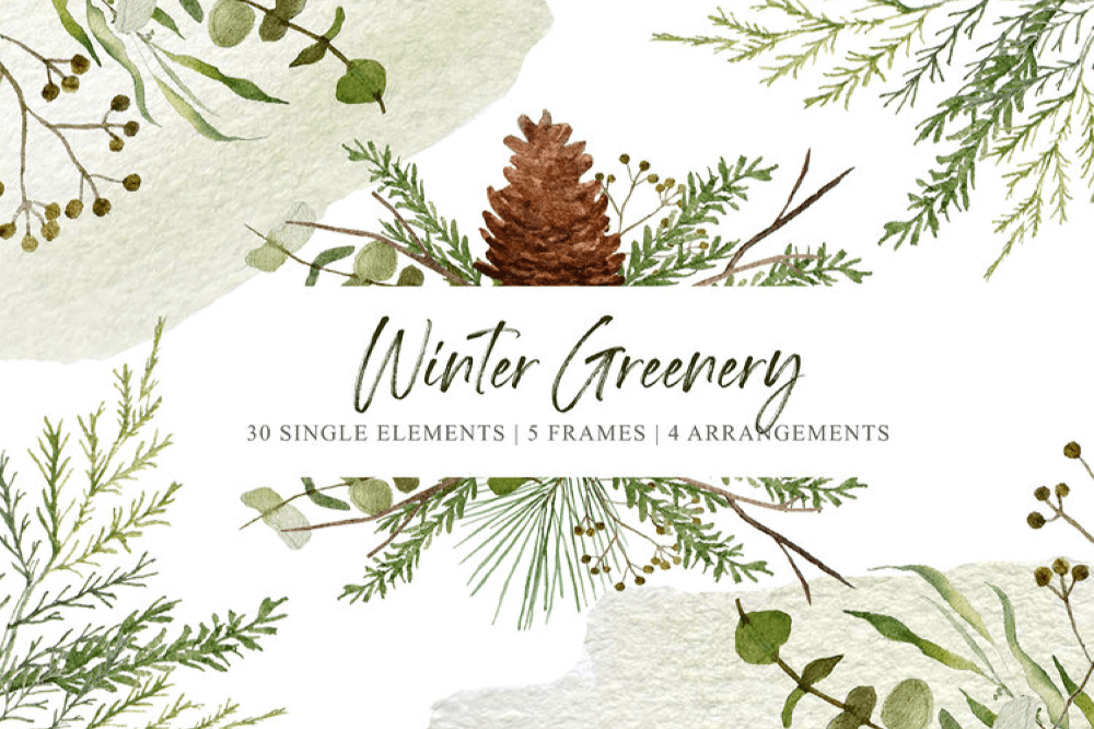 Free Winter Greenery Graphics Collection – Pixel Surplus