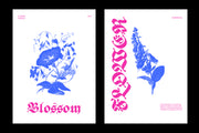 ED Begonia - Blackletter Typeface