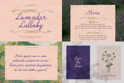 Perplexitics Handmade Script Font Bundle