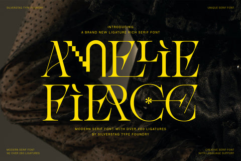 Amelie Fierce - Display Serif Font - Pixel Surplus