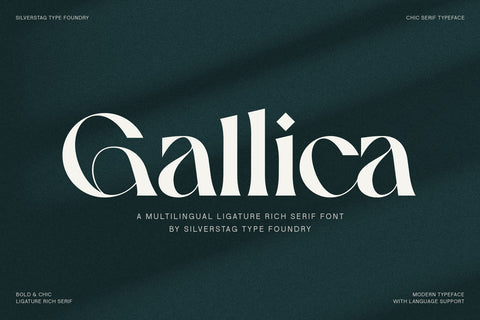 Gallica - A Powerful Ligature Serif