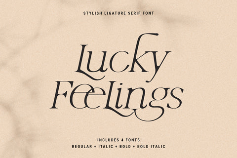 Lucky Feelings - Serif Font Family - Pixel Surplus