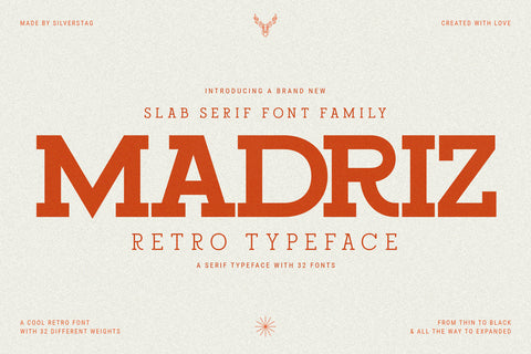 Madriz - Retro Slab Serif Typeface - Pixel Surplus