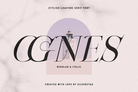 OGNES - Modern Ligature Serif Font - Pixel Surplus