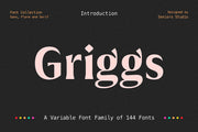 Griggs Variable Typeface