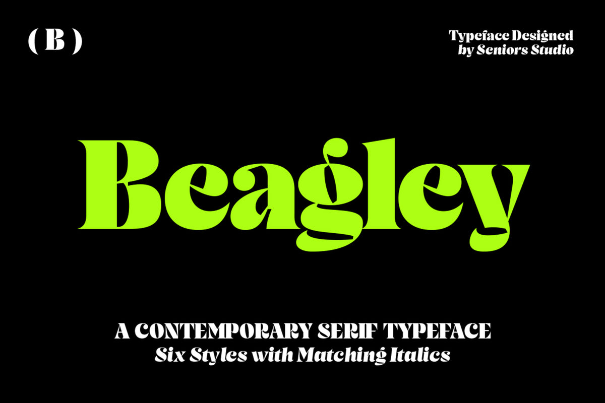 Beagley Display – Pixel Surplus