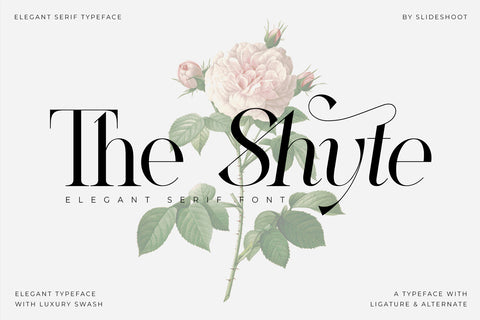 The Shyte - Serif Font