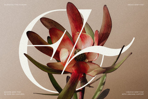 Amelie Fierce - Display Serif Font - Pixel Surplus