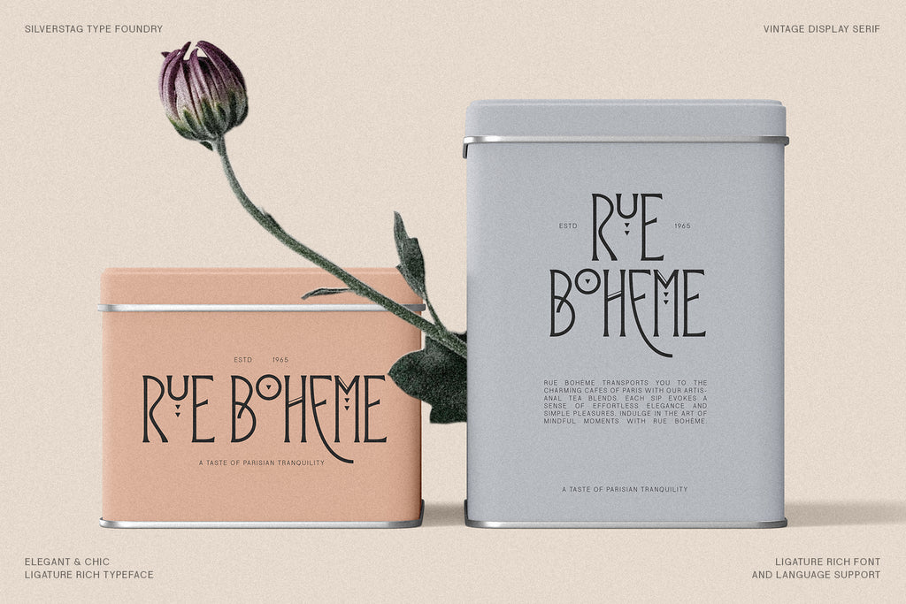 Reina Sofia - Vintage Display Serif - Pixel Surplus