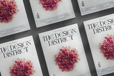 Amelie Fierce - Display Serif Font - Pixel Surplus