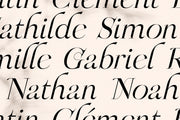 OGNES - Modern Ligature Serif Font