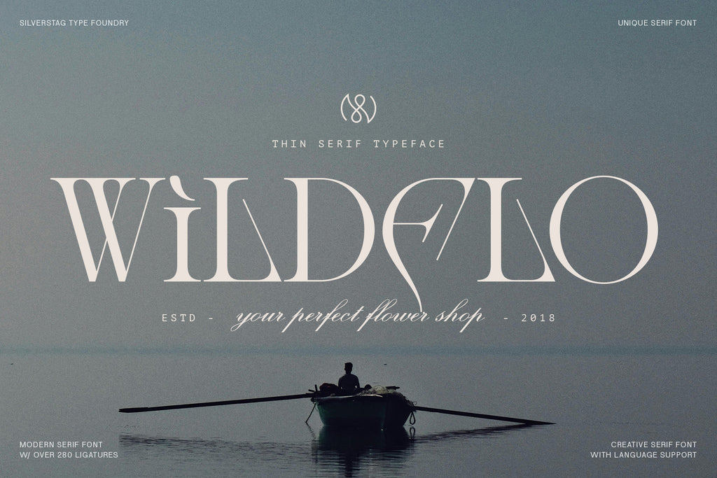 Amelie Fierce - Display Serif Font - Pixel Surplus