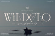 Amelie Fierce - Display Serif Font - Pixel Surplus