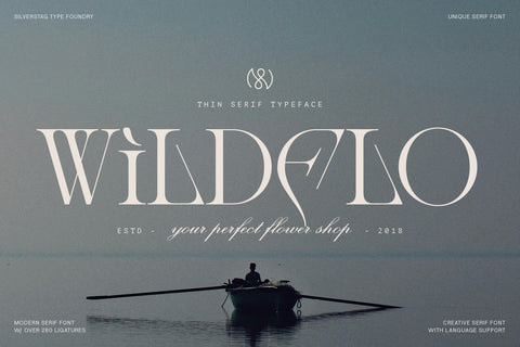 Amelie Fierce - Display Serif Font - Pixel Surplus