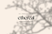 Florie - Elegant San Serif Font