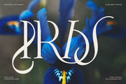 Frosty Garden - Elegant Retro Serif