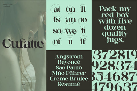 Unique & Classy Font bundle - Pixel Surplus