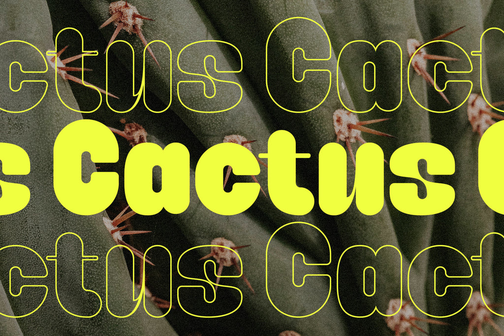 Caprifig - Bold & Rounded Typeface - Pixel Surplus