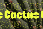 Caprifig - Bold & Rounded Typeface - Pixel Surplus