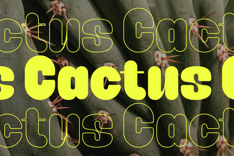 Caprifig - Bold & Rounded Typeface - Pixel Surplus