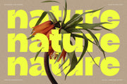 Ingrafts - Bold & Funky Font - Pixel Surplus