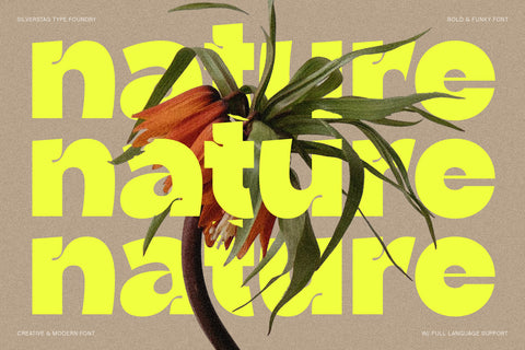 Ingrafts - Bold & Funky Font - Pixel Surplus