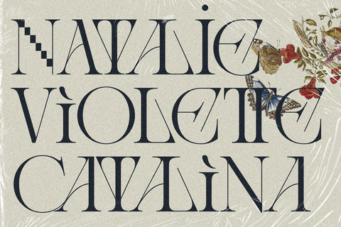 Amelie Fierce - Display Serif Font - Pixel Surplus