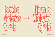 Reina Sofia - Vintage Display Serif - Pixel Surplus