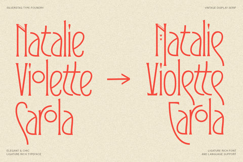 Reina Sofia - Vintage Display Serif - Pixel Surplus