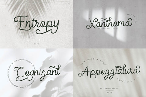 The Elegant Script Font Bundle