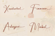 The Elegant Script Font Bundle