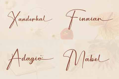 The Elegant Script Font Bundle