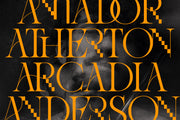 Amelie Fierce - Display Serif Font - Pixel Surplus