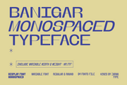 Banigar - Modern Display (84 Fonts)