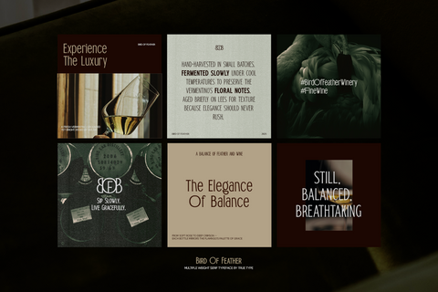 TRT Bird of Feather – Elegant Serif Typeface