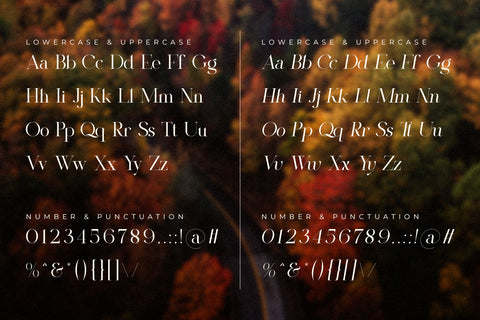 The Shyte - Serif Font