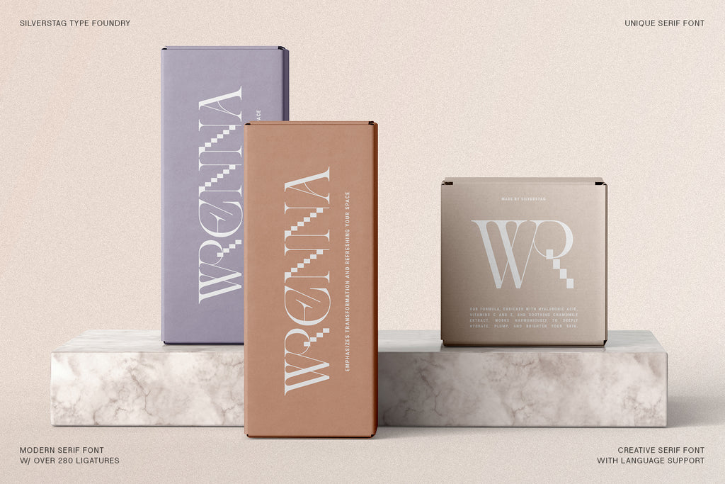 Amelie Fierce - Display Serif Font - Pixel Surplus