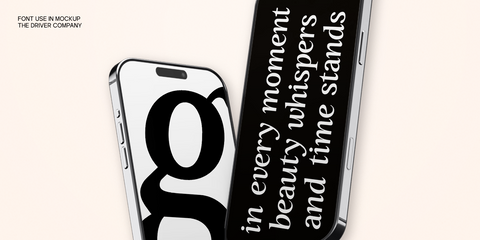 GC Driver Company - Serif Italic