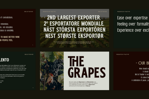 TRT Bird of Feather – Elegant Serif Typeface