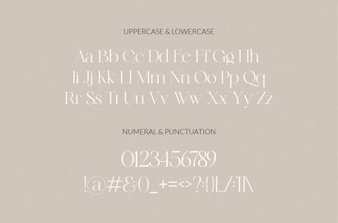 Griffin Serif – Elegant Minimalist Font with Stylish Ligatures