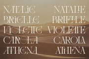 Amelie Fierce - Display Serif Font - Pixel Surplus