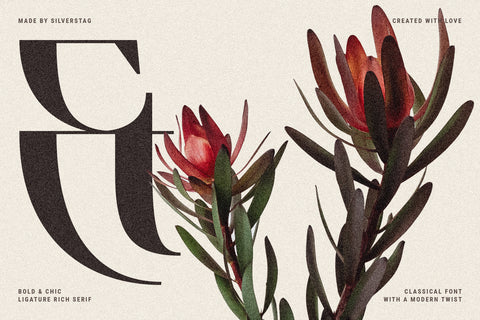 French Voyager - Chic Ligature Serif