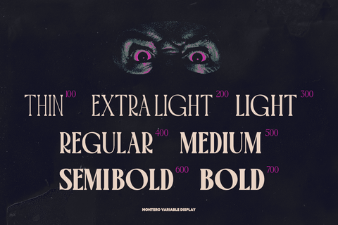 TT Montero Serif Condensed