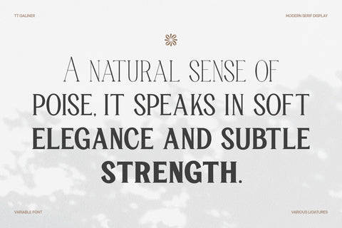 TT Galiner – Timeless Elegance Serif