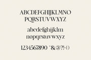 Quincy – Stylish Serif Font with Elegant Contrast