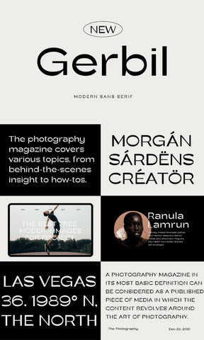 Font Bundle - Sans Series